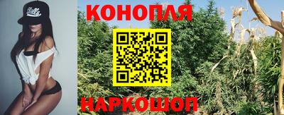 гашик Изобильный