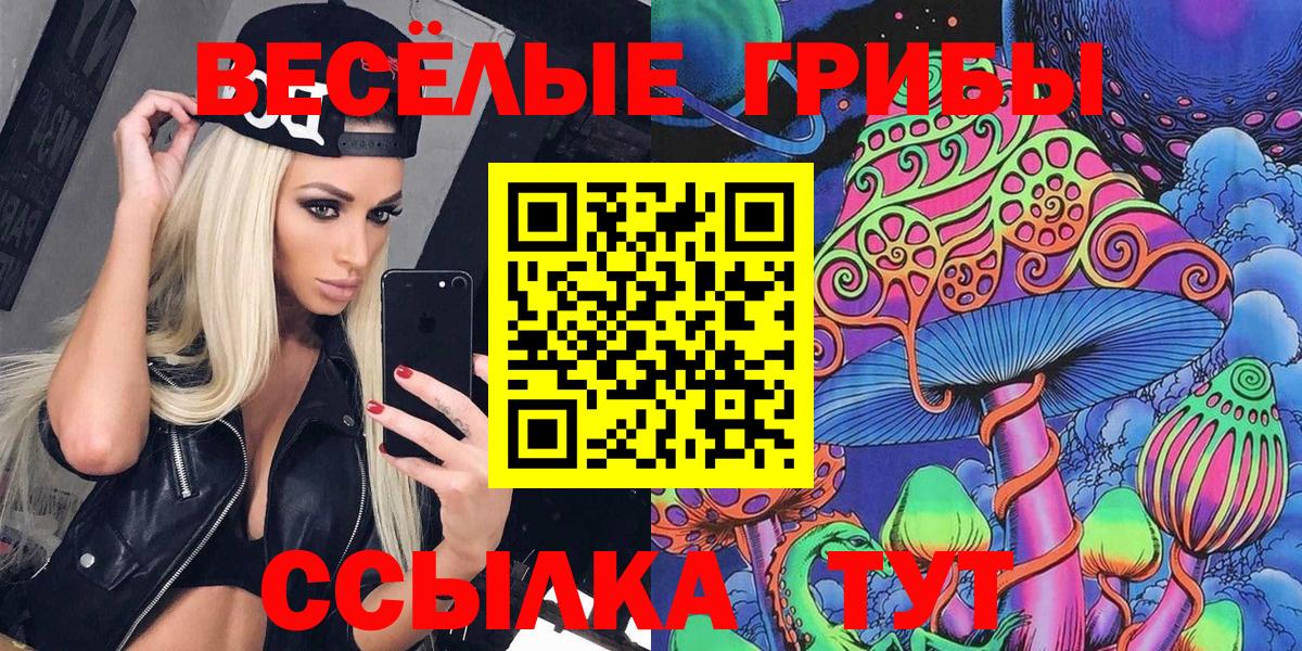 Галлюциногенные грибы GOLDEN TEACHER  Вход с VPN  Лесной 