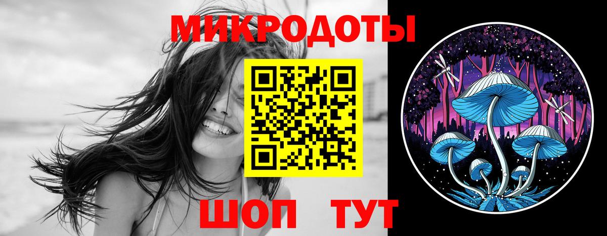 Галлюциногенные грибы ЛСД Лесной