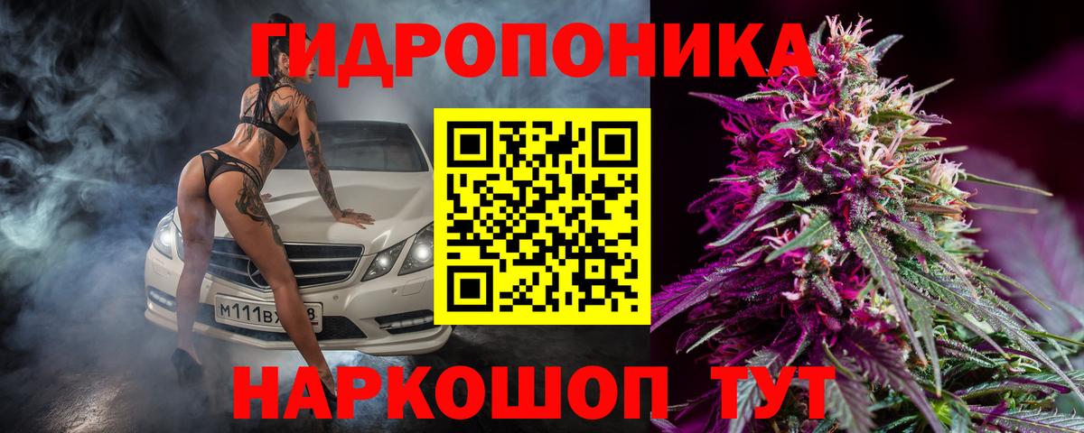 МАРИХУАНА Ganja Лесной